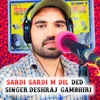 About Sardi  Sardi  M  Dil  Ded Song
